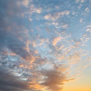 Meet your Posher, Mia